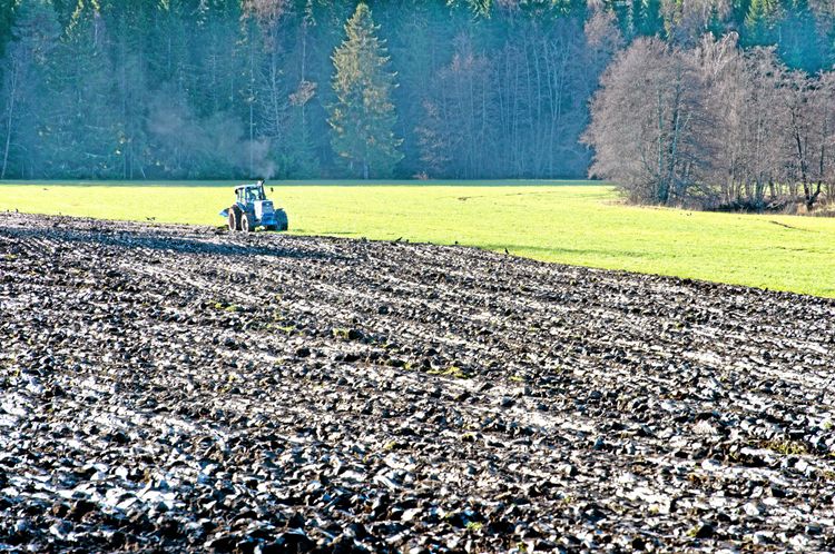 Nu betalas 1,2 miljarder ut i jordbrukarstöd