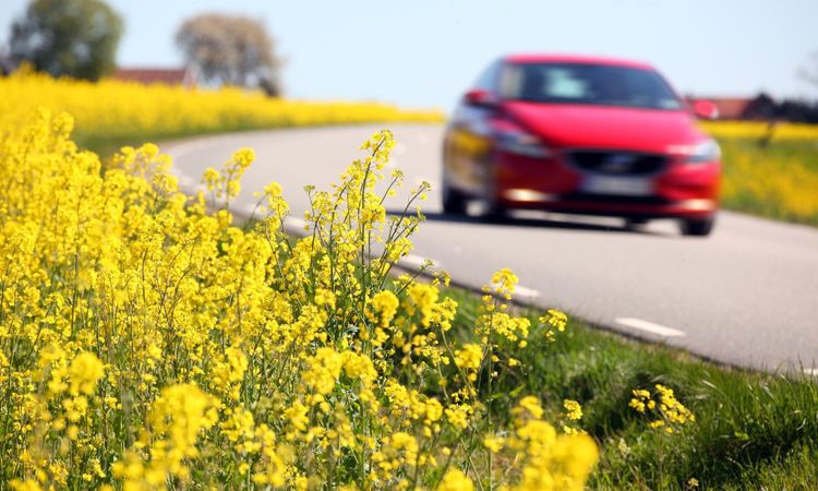 Debatt: Bilisterna är regeringens mjölkko