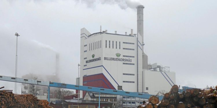 Många vill köpa skog av Billerud Korsnäs