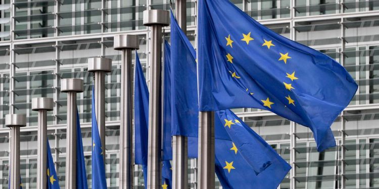 Skogen och de små stegens tyranni