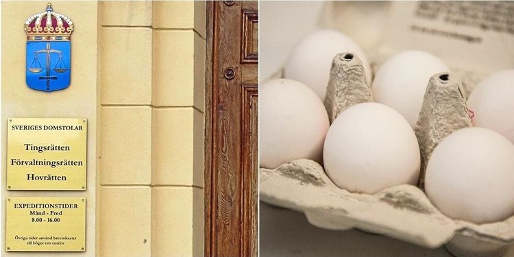 Rättegångssmäll för äggproducent