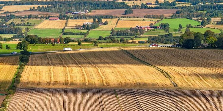 ”Dags att uppvärdera lantbrukets betydelse”