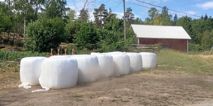 Digitala balar utvecklas i Finland