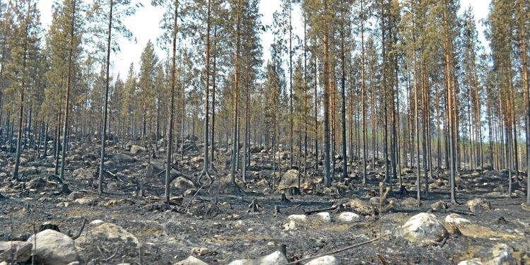 ”Får inte bli reservat av alltihop”