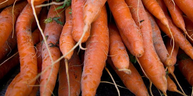 C: Vi måste stärka livsmedelsförsörjningen