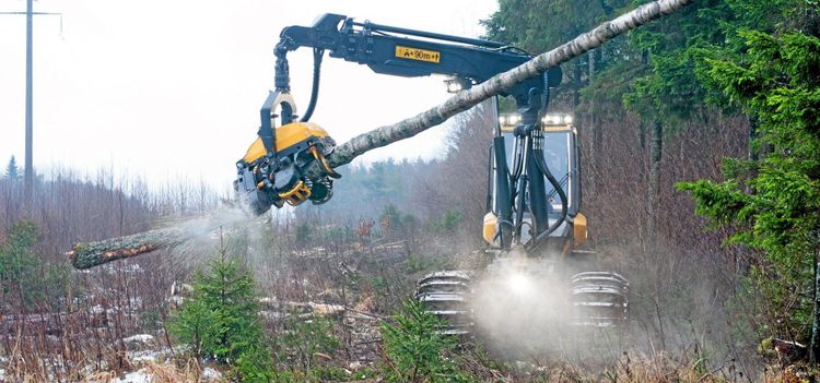 Stora Enso söker folk med ”Frolle”