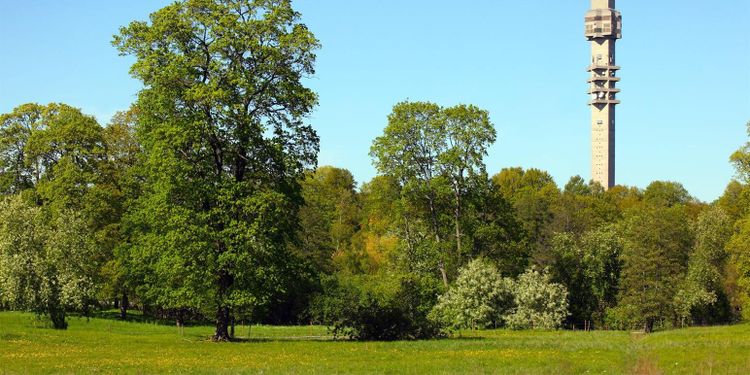 Noll intresse för gräs i Stockholm