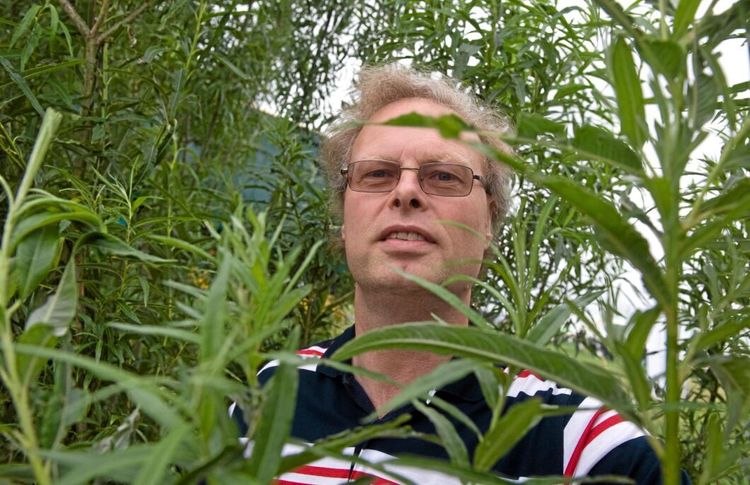 Mer pengar att tjäna på biogrödor