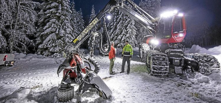 Bildspecial – så är livet som skogsentreprenör