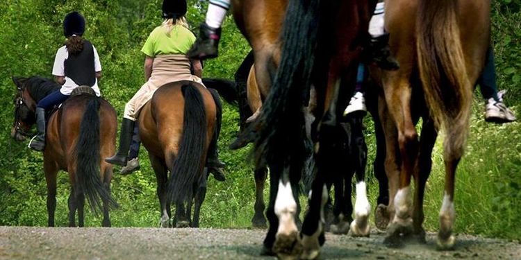 Länsstyrelsen får bakläxa om indraget tillstånd