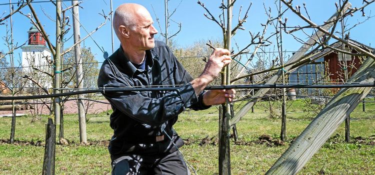 Droppbevattning - inte bara för att spara