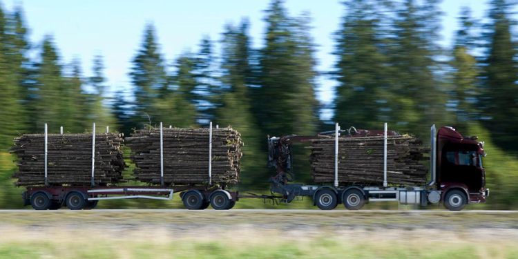 Bättre betalt för virket i norr