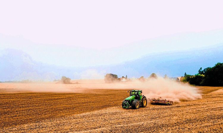 Fast i låga spannmålspriser