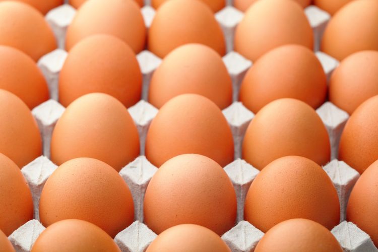 Fågelinfluensa ger äggbrist