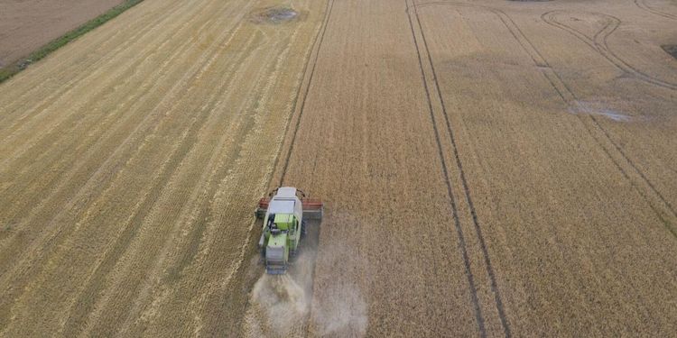 Jordbrukens inkomster ökade 2019