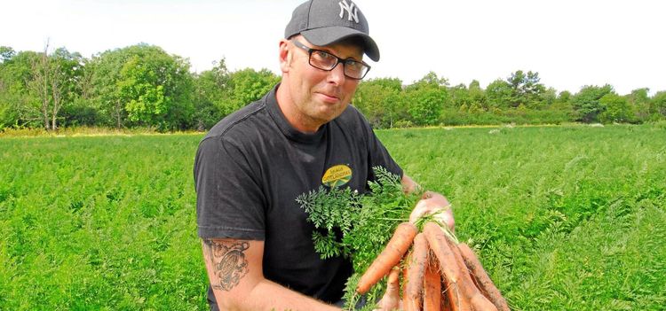 Renat havsvatten ger morotsodling skjuts