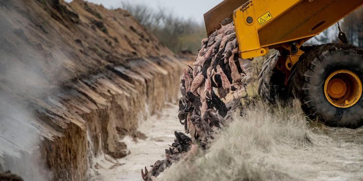 Minkavel förbjuds: ”Använt 20 miljarder”