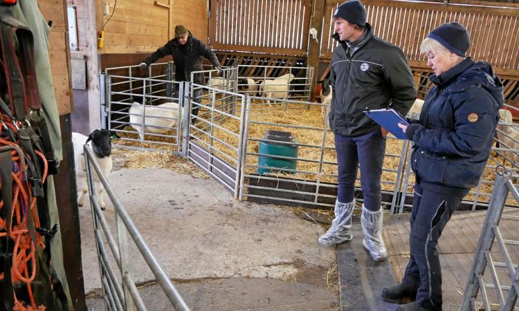 Det händer på Brunnby