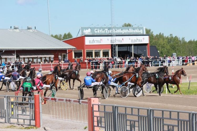 Från årsskiftet får alla travhästar som startar i lopp minst 500 kronor. Arkivbild.