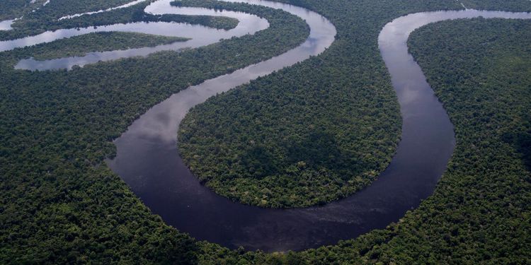 Skövlingen av Amazonas ökar dramatiskt