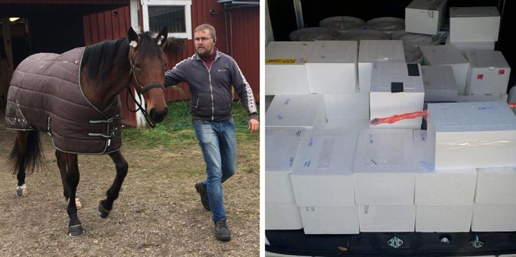 Han fixade hästbranschens seminleveranser
