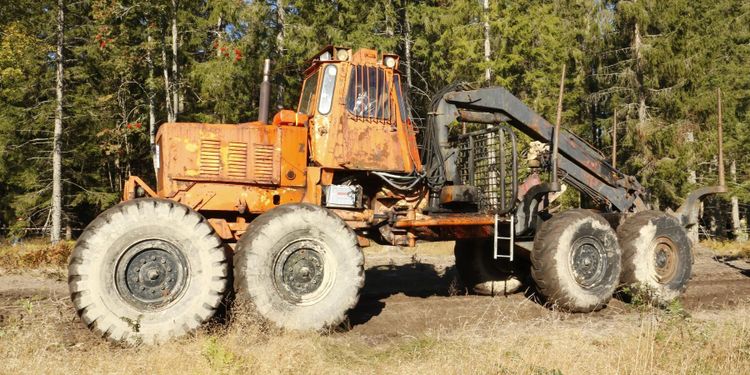 Pionjärerna i skogen – här är läsarnas favoriter