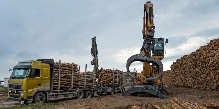 Svag lönsamhet slår ut företag i skogen