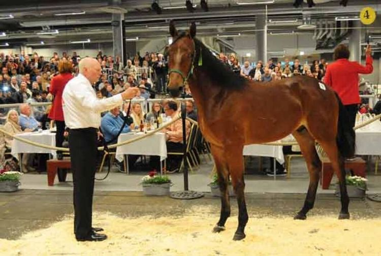 Kräver pengar åter för miljonauktion