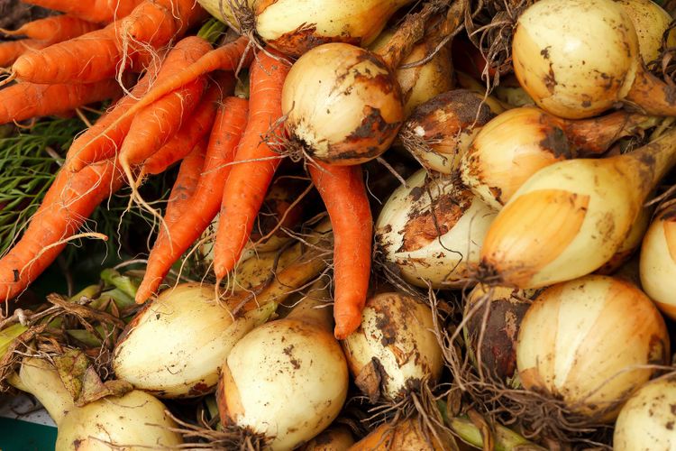 Närbild på skördade morötter och gullök.