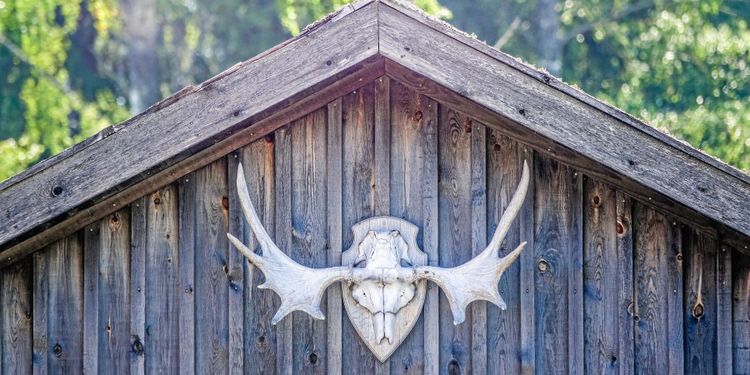 ”Licensområdena har inte följt reglerna – trots påminnelser”