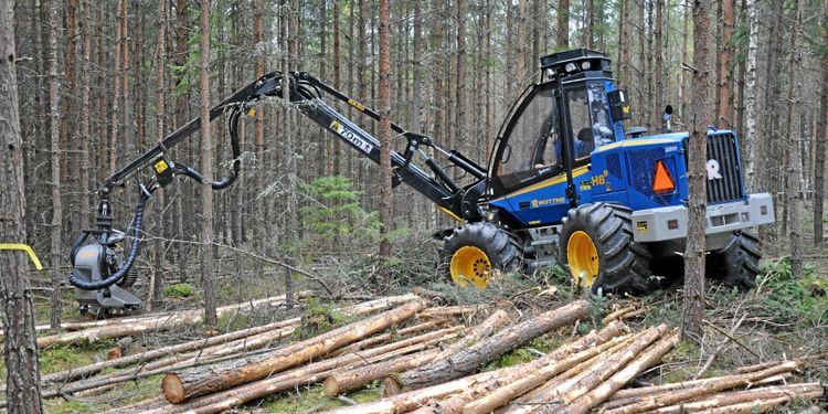 Hårda gallringar sänker förrådet