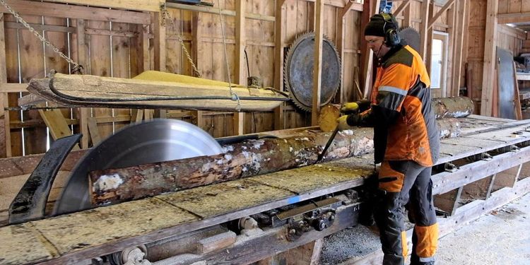 ATL TV: Här sågas barkborretimret