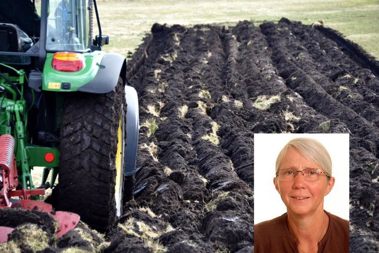 Okunskap bakom skrämselfilm