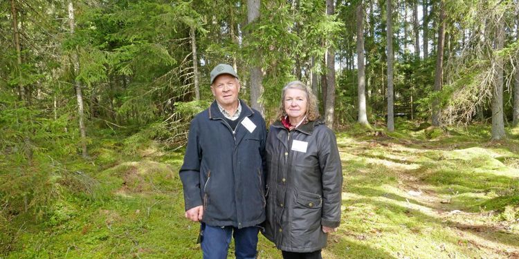 De drabbas av ständiga angrepp