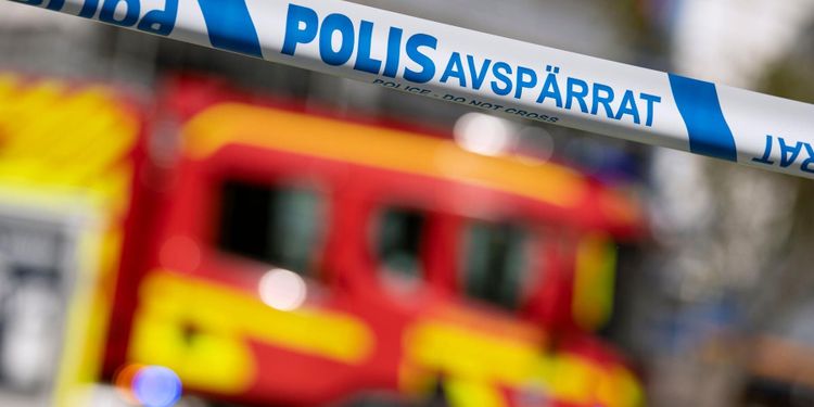 Kor avlivade efter storbrand i ladugård
