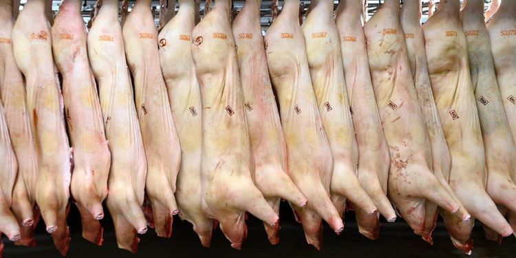 Svårt att få personal till slakterier