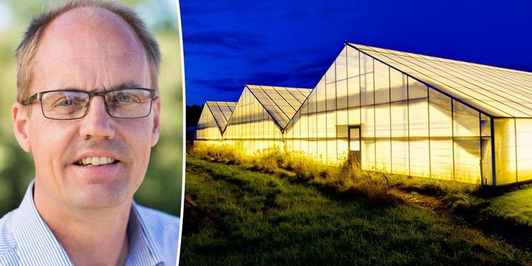 Ekologisk gödsel kan ha lett till missväxt