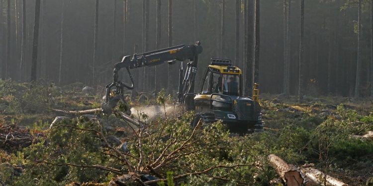 Starkt orderläge för Ponsse