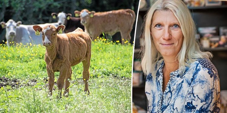 Försäljningen av naturbeteskött ökar