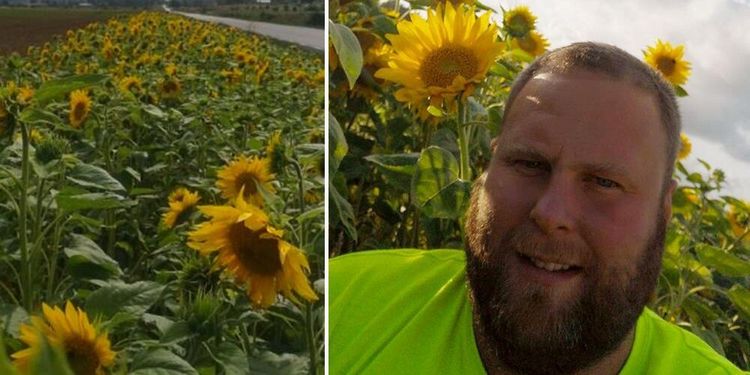 Hans solrosor ger 50 000 till Barncancerfonden