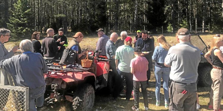 Här bygger grannarna viltstängsel mot vargen