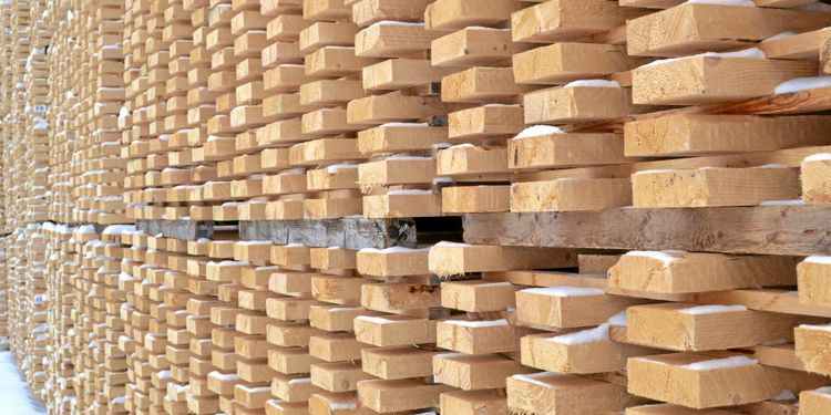 Svarta siffror för Norrskog