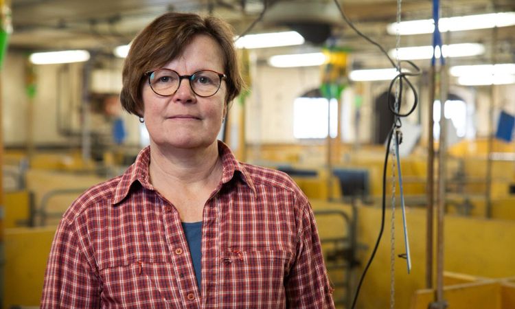 ”Oro för kontroller drabbar investeringsviljan”