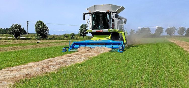 Nu rullar tröskorna i Skåne