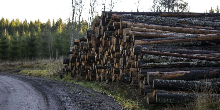 Regeringen skeptisk till taxonomikriterier