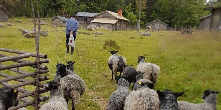 Nekades stöd efter Postnords försening