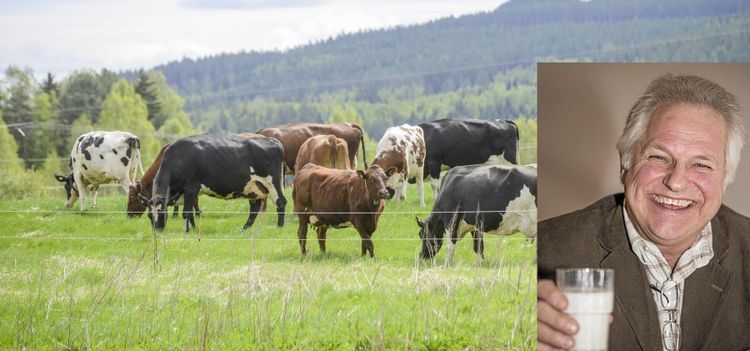 Här avslöjas hemliga köpesumman