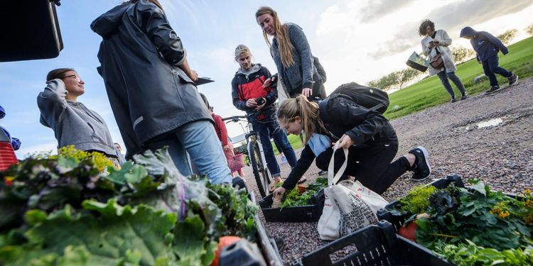 Sug efter närodlat ställer nya krav på lantbruket