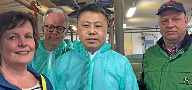 Kineser imponerade av svensk grisproduktion