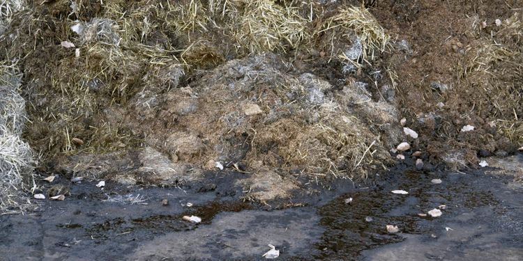 Mjölkgård slipper vite för utsläpp